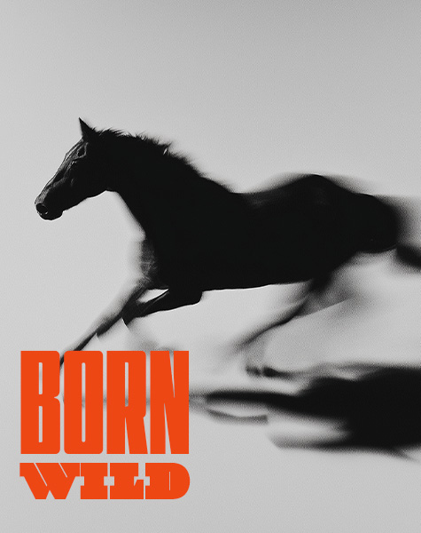 Born Wild Weekend